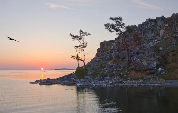 Скалы, рассвет, берег, утро, сосны