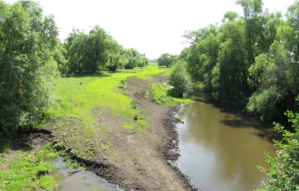 Вода, Трава, Деревья, Река, Лето