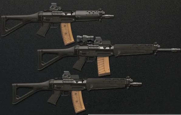 Gun, weapon, weapons, rifle, assault rifle, Sig Sauer 556, Sig Sauer, Swiss rifles