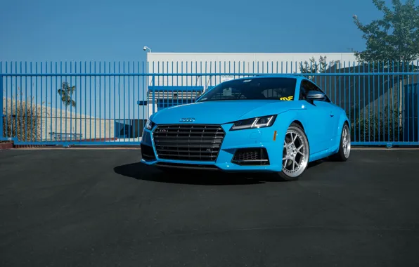 Audi, Blue, Riviera, TTS, Rotiform, Autohaus, Boden, Magnaflow