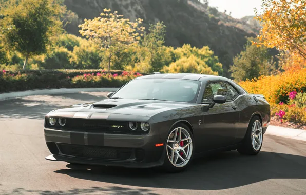 Dodge, Challenger, Hellcat, Silver, Machined