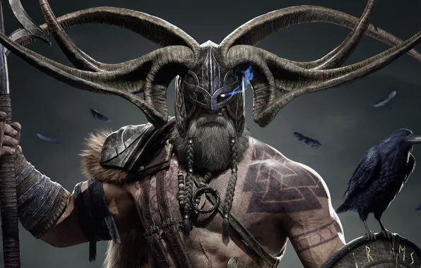 Raven, power, north, god, Odin, pagan, allfather