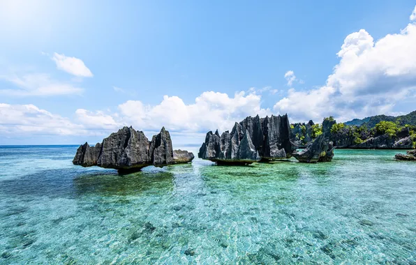 Картинка Скала, Индонезия, Rock, Indonesia, Запад, Ампат Папуа, Paradise Raja, Ampat Papua