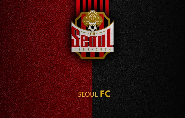 Wallpaper, sport, logo, football, Seoul