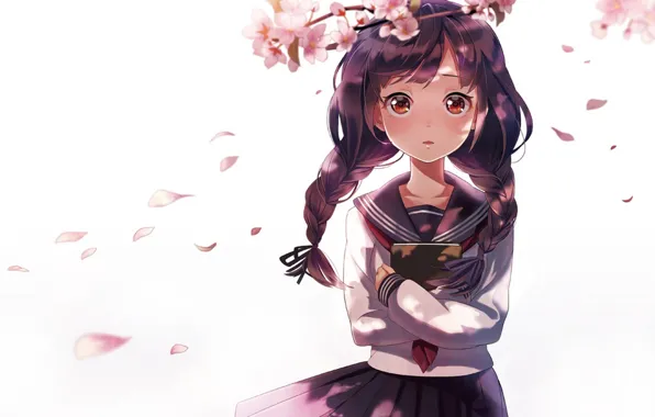 Картинка девушка, цветы, ветви, аниме, лепестки, сакура, арт, книга
