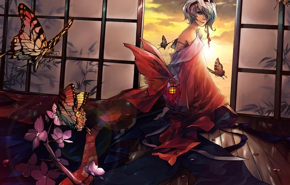 Картинка девушка, бабочки, закат, лепестки, сакура, арт, фонарь, кимоно