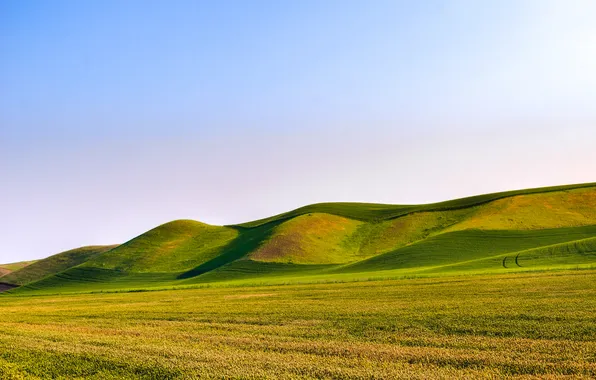 Картинка поле, небо, трава, природа, холмы