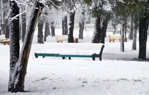 Картинка зима, снег, деревья, парк, разноцветные, скамейки, Snow park