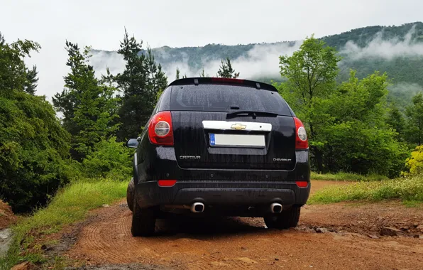 Chevrolet, trees, nature, 4x4, Bulgaria, Captiva