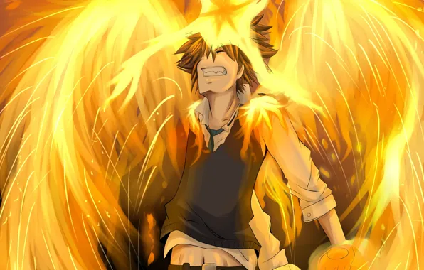Пламя, аниме, парень, Katekyo Hitman REBORN!, Савада Тсунаёши