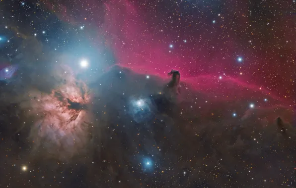 Космос, туманность, конская голова, Horsehead