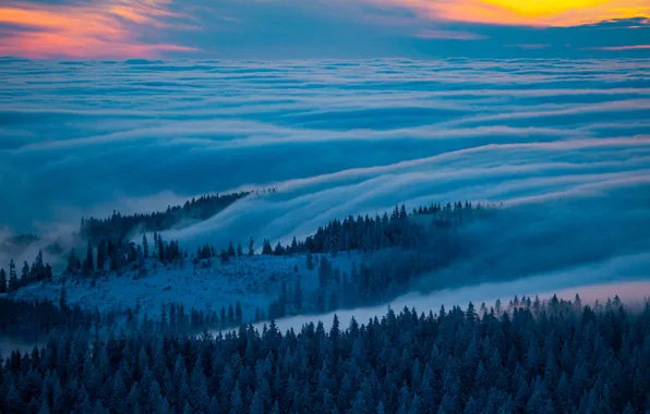 Зима, Деревья, Winter, Баден-Вюртемберг, Южная Германия, Baden-Wurttemberg, Southern Germany, Винтер