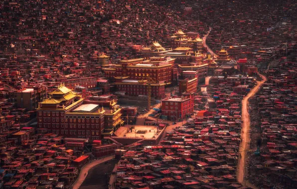 Картинка город, Китай, Тибет, муравейник