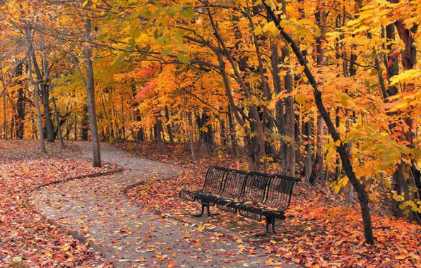 Картинка осень, город, парк, скамья