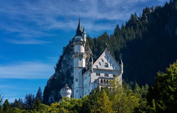 Лес, скала, замок, Германия, Бавария, Germany, Bavaria, Neuschwanstein Castle