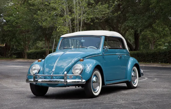 Volkswagen, Beetle, ретро автомобили, Cabriolet, 1963, retro cars, Volkswagen Beetle Cabriolet