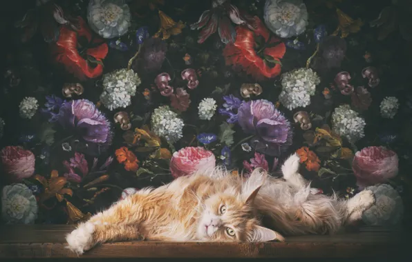 Кошка, кот, цветы, лежит