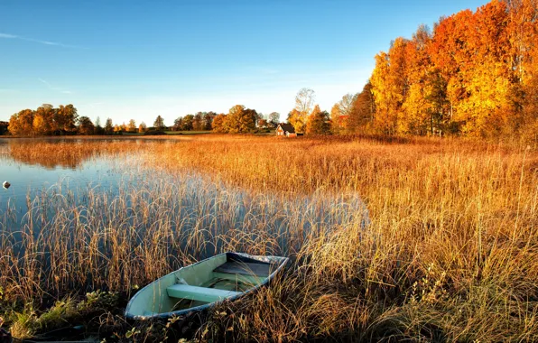 Картинка осень, деревья, озеро, лодка, домики.