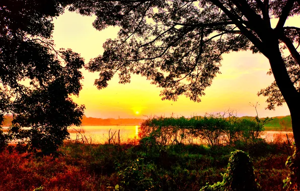 Sky, Sun, Water, Dawn, Morning, Lake, Trees, Reflection