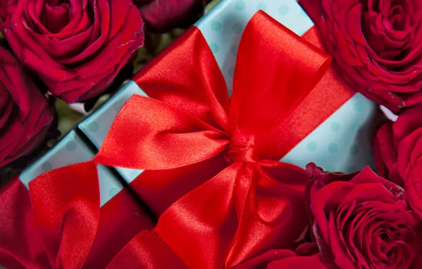 Red, love, romantic, gift, roses, красные розы, valentine`s day