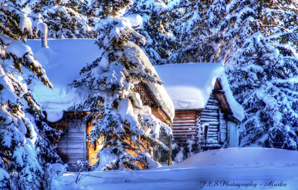 Картинка зима, лес, снег, природа, ели, Аляска, хижины