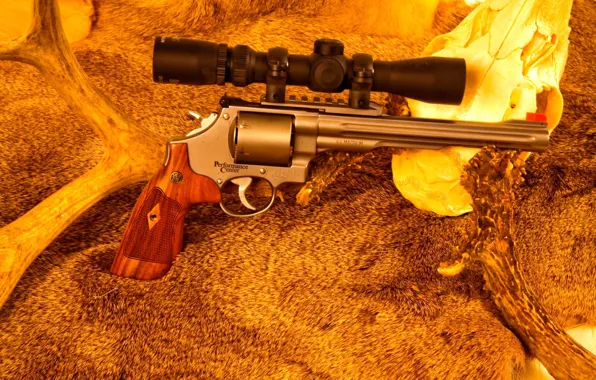 Gun, weapon, magnum, handgun, 44 magnum