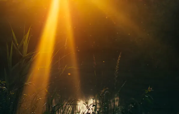 Nature, sunset, lake, Sunrays