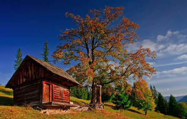 Картинка осень, лес, небо, трава, облака, дерево, избушка, гора