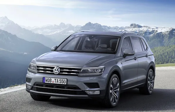 Лес, горы, серебристый, Volkswagen, площадка, Фольцваген