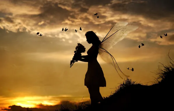 Картинка девушка, закат, птицы, бабочка