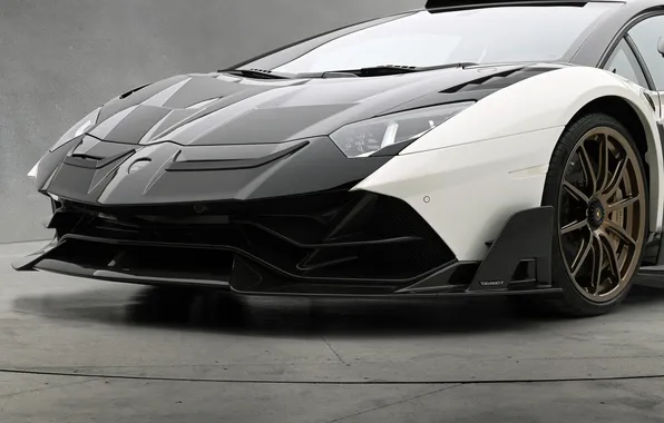 Картинка мощь, суперкар, спорткар, supercar, Lamborghini Aventador, Mansory, sports car, единственный экземпляр