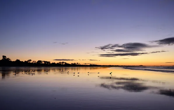 Море, пейзаж, закат, Australia, Victoria, Waratah Bay
