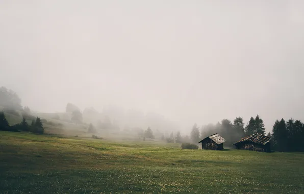 Картинка природа, туман, дома