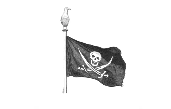 Птица, флаг, пиратский, реет