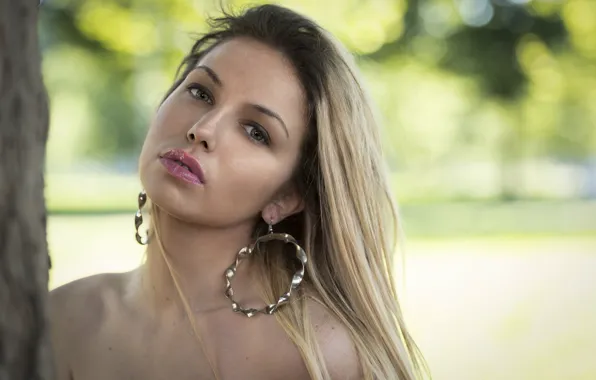 Взгляд, лицо, волосы, милашка, Martina