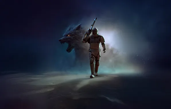 Gun, soldier, armor, weapon, night, man, wolf, rifle