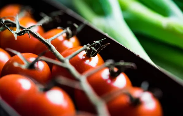 Red, tomatoes, close-up view