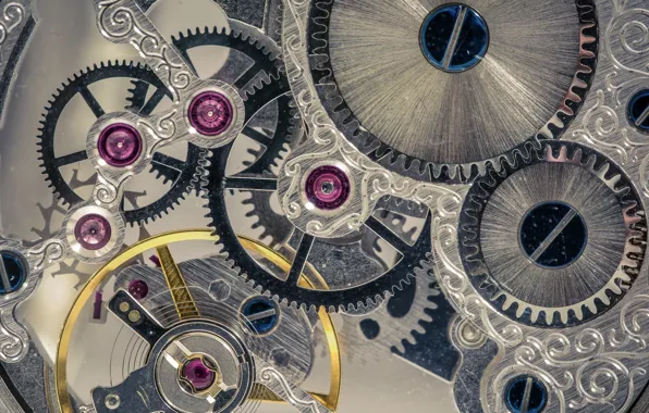 Фон, цвет, форма