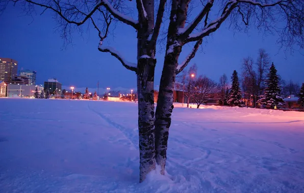 Зима, снег, город, Аляска, Anchorage, Night Falls on the Park Strip