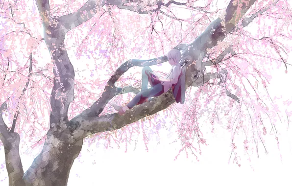 Ветки, отдых, весна, мальчик, сакура, цветение, на дереве, большое дерево