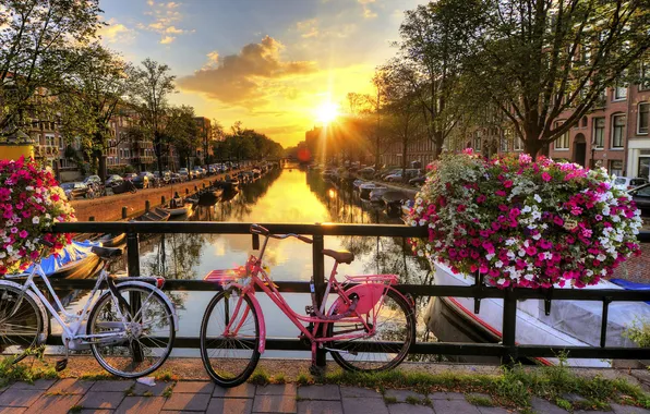 Картинка солнце, закат, цветы, мост, велосипед, город, ограда, Амстердам