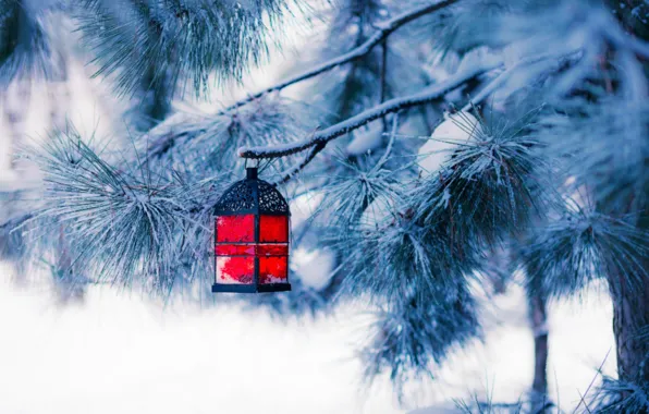 Картинка зима, снег, елка, новый год, рождество, фонарь