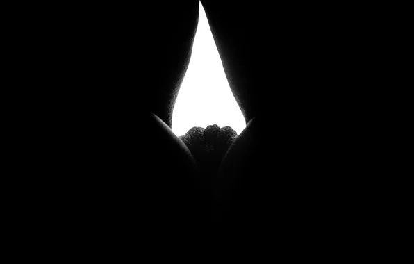 Макро, ч/б, таинственность, photographer, просвет, Alexandr Savichev, женские прелести