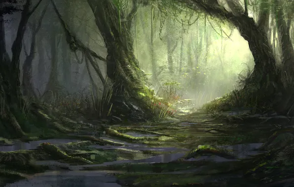 Картинка лес, природа, река, болото, джунгли, jungle