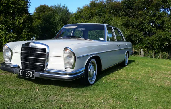 Картинка Mercedes-Benz, 1967, 250_S