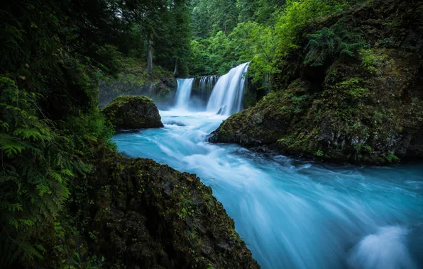 Лес, река, водопад, мох, Washington, штат Вашингтон, Columbia River Gorge, Little White Salmon River