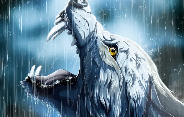 Картинка дождь, волк, клыки, art, wolfroad