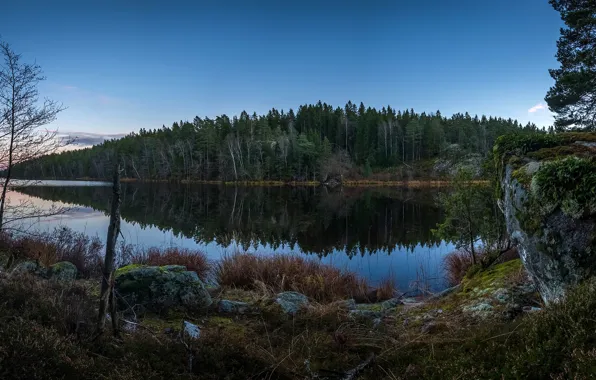 Лес, небо, трава, вода, деревья, отражение, река, камни