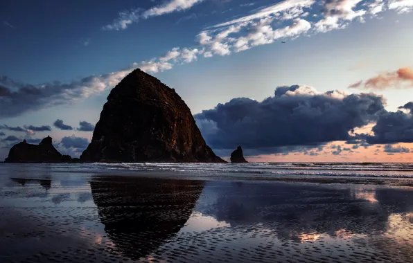 Картинка побережье, Орегон, USA, США, Oregon, Олимпийский парк, Rocky Coast, Olympic Park