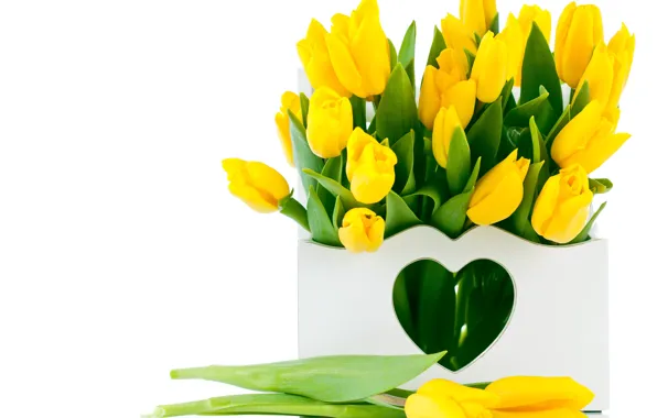 Цветы, букет, тюльпаны, желтые тюльпаны
